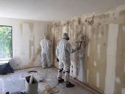 Professional Mold Prevention & Removal  in Tunica Resorts, MS